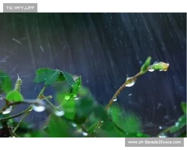 马拉卡纳的风与雨 马拉卡纳的风与雨